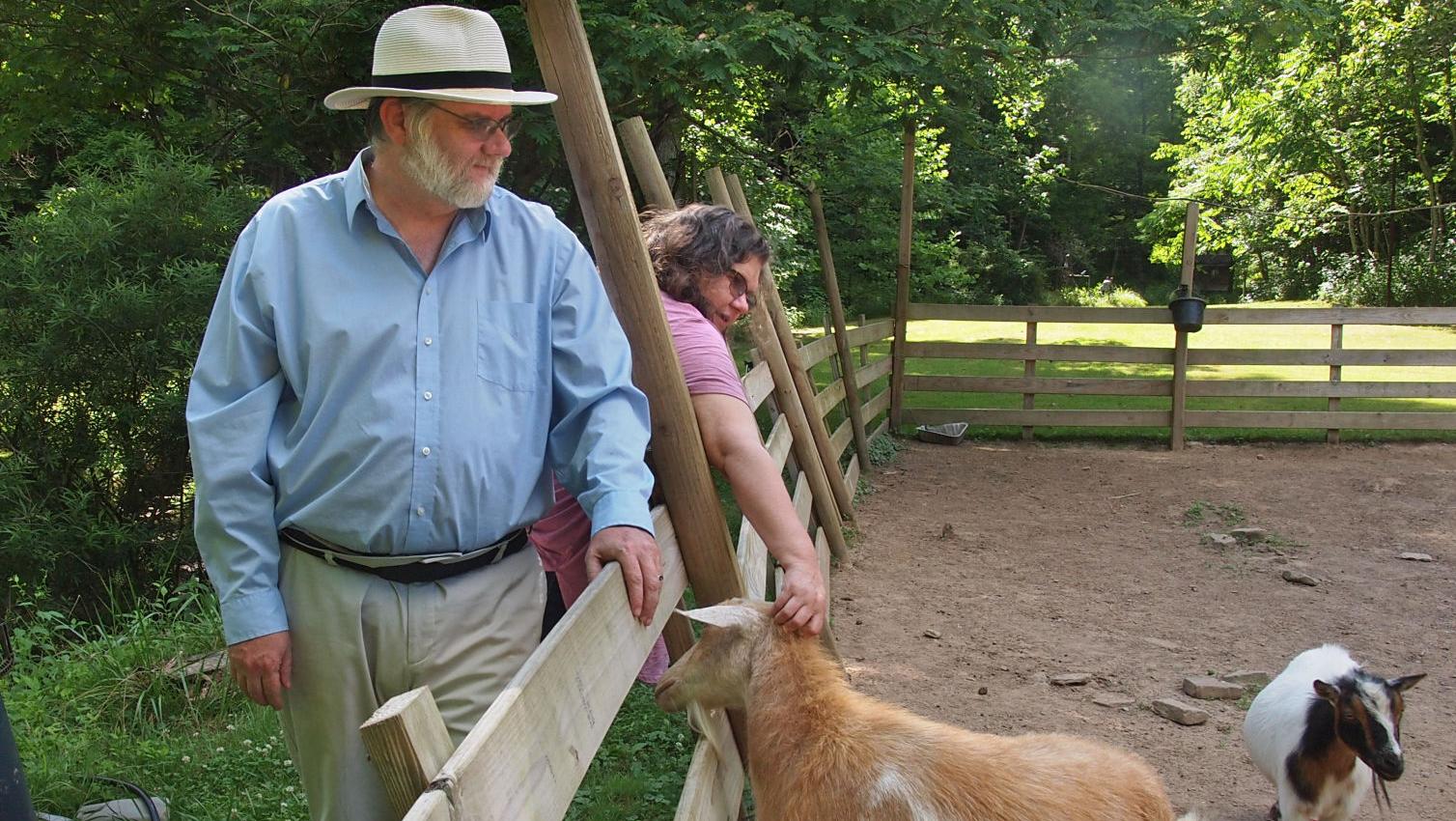 Matthew Perry and goats